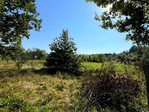 ділянка за адресою Суха Ліщина