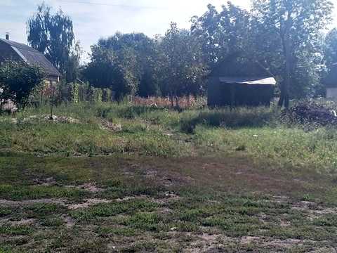 участок по адресу 