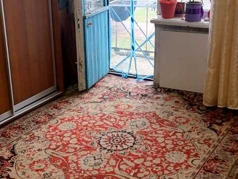 квартира по адресу Каштанов ул., 19