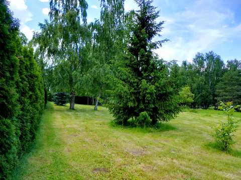 ділянка за адресою Центральна вул., 777