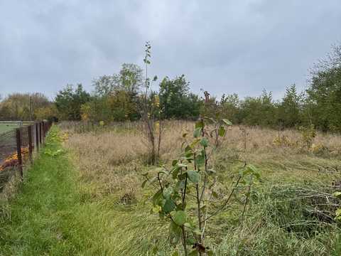 ділянка за адресою Зарічна вул.