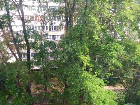 квартира за адресою Митрополита Василя Липківського вул. (Урицького), 23