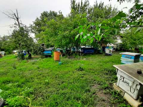 будинок за адресою Центральна
