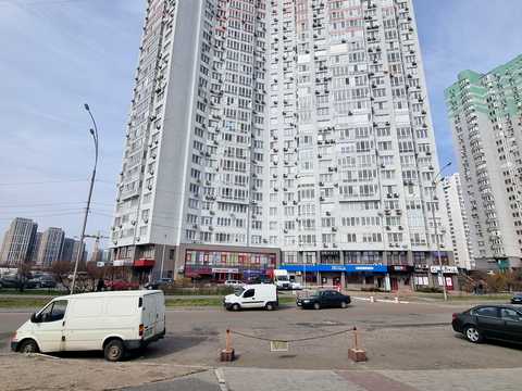 комерційна за адресою Єлизавети Чавдар вул., 1