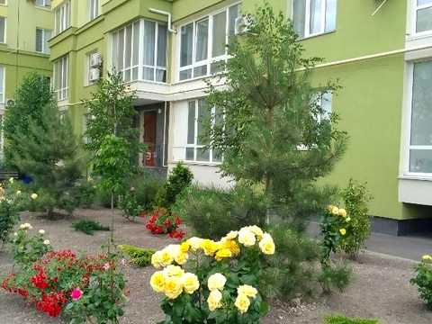 квартира по адресу Леваневців ул., 30/3