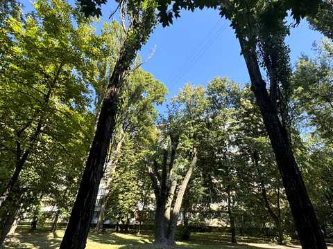 квартира по адресу Романа Ратушного ул. (Волгоградська), 33