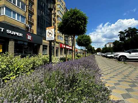 квартира за адресою Добровольчих Батальйонів вул. (Червоноармійська), 203/2