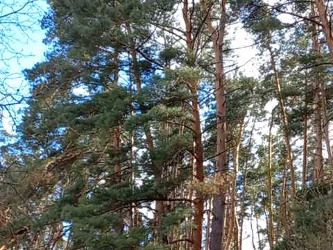 будинок за адресою Центральна, 1