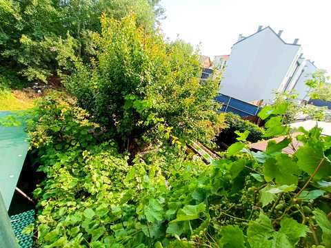 будинок за адресою Центральна вул.