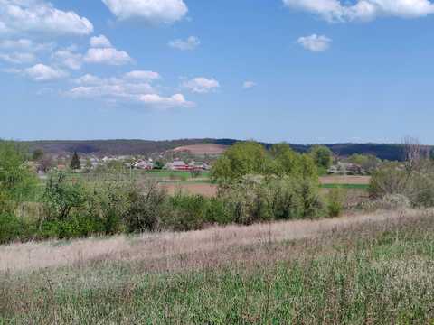 дом по адресу с. Балаклея, Добросусідська, 22