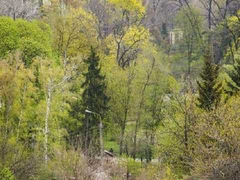квартира за адресою Гетьмана Павла Скоропадського вул. (Толстого), 39