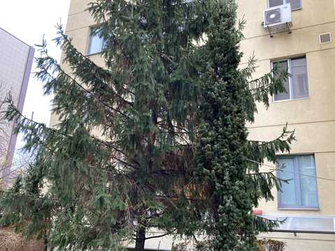 квартира за адресою Левка Лук'яненка вул. (Василя Жуковського), 21-А