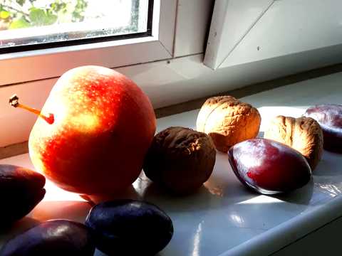 квартира за адресою Олександра Архипенка вул. (Мате Залки), 3-А