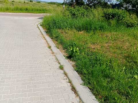 ділянка за адресою с. Кам'янопіль, Грушевського, 1
