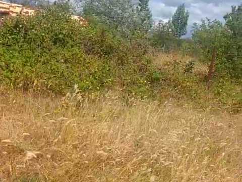 ділянка за адресою Транспортная