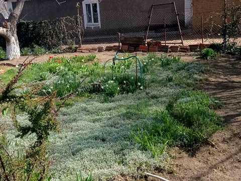 будинок за адресою Лесника