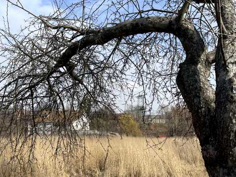 участок по адресу Чкалова, 101