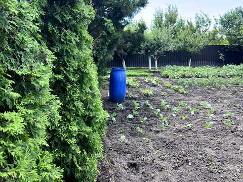 будинок за адресою Дубрівка вул., 12