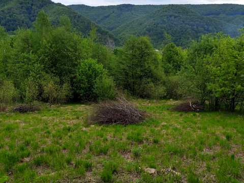 ділянка за адресою 