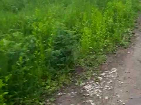 ділянка за адресою Ярмаркова, 30а