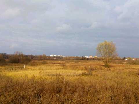 ділянка за адресою Велика окружна