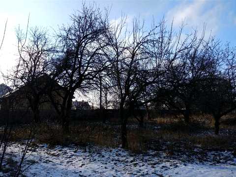 ділянка за адресою князя Святослава