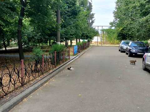 квартира по адресу пгт. Яворницкое (Илларионово), Європейська, 14а