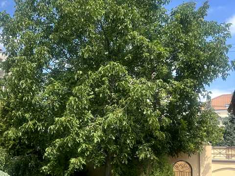 будинок за адресою Амбулаторний пров., 17