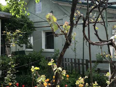 будинок за адресою Академіка Вернадського вул.