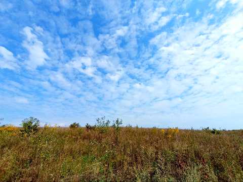 ділянка за адресою Хмельницький, СТ Грузевицький-1