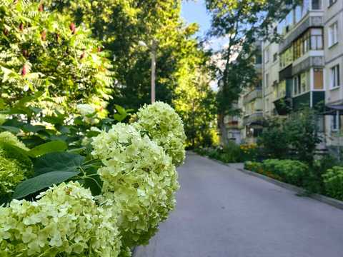квартира по адресу Котляревского ул., 2/7