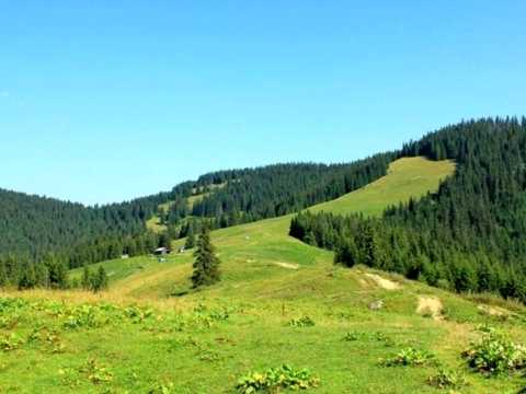 ділянка за адресою с. Верхнє водяне, 