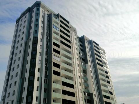 квартира по адресу Елизаветинская ул., 2-Б