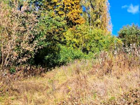 ділянка за адресою с. Гореничі, Польова вул.