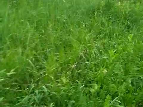 ділянка за адресою Ярмаркова, 30а
