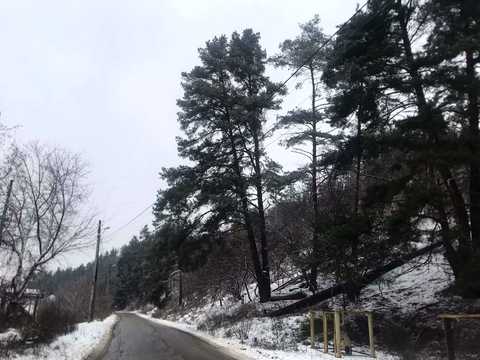 ділянка за адресою Соснова, 18