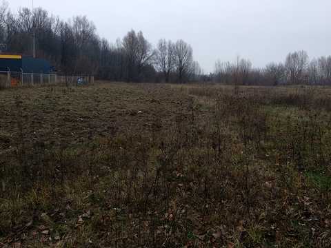 ділянка за адресою смт. Козелець, 