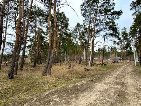 ділянка за адресою Левка Симиренка, 61
