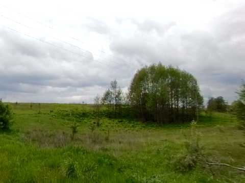 ділянка за адресою с. Северинівка,