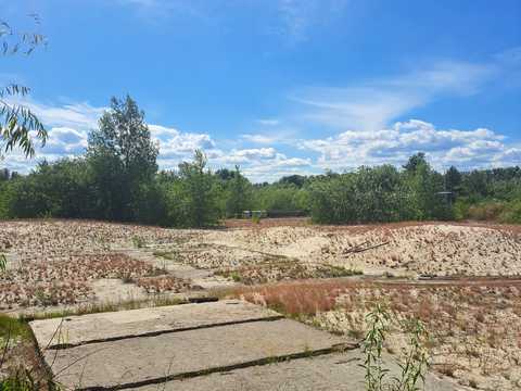 ділянка за адресою Садова вул., 1