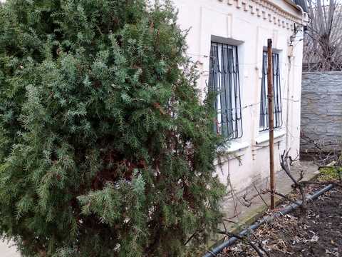 будинок за адресою Малахітова