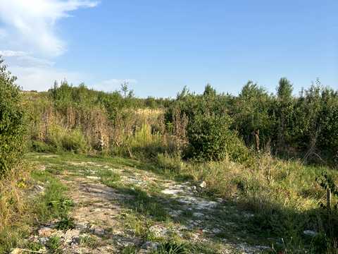 ділянка за адресою Затишна