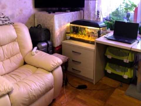 квартира за адресою Януша Корчака вул. (Баумана), 20