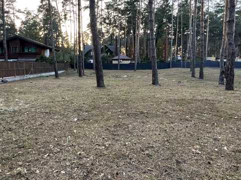 ділянка за адресою Сосновий Бір вул.