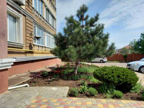 квартира по адресу Приміська, 1