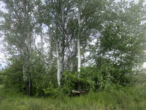 ділянка за адресою с. Новоселівка,