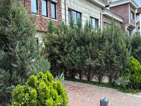 квартира по адресу Івана Білика ул. (Яблунева), (Будинок 3)