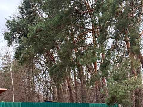квартира по адресу Василя Симоненка ул., 4