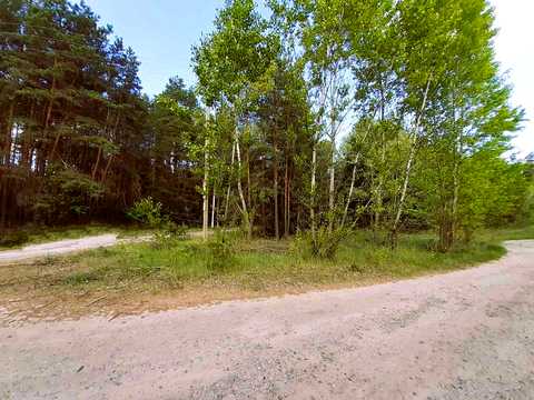 ділянка за адресою с. Грабинівка, Соснова