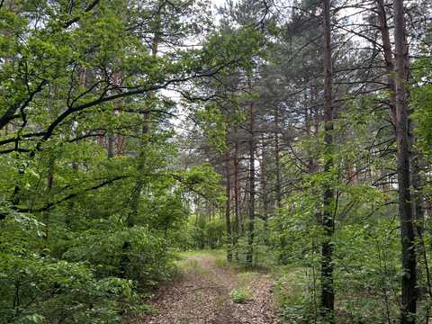 ділянка за адресою Анатолія Солов'яненка вул.